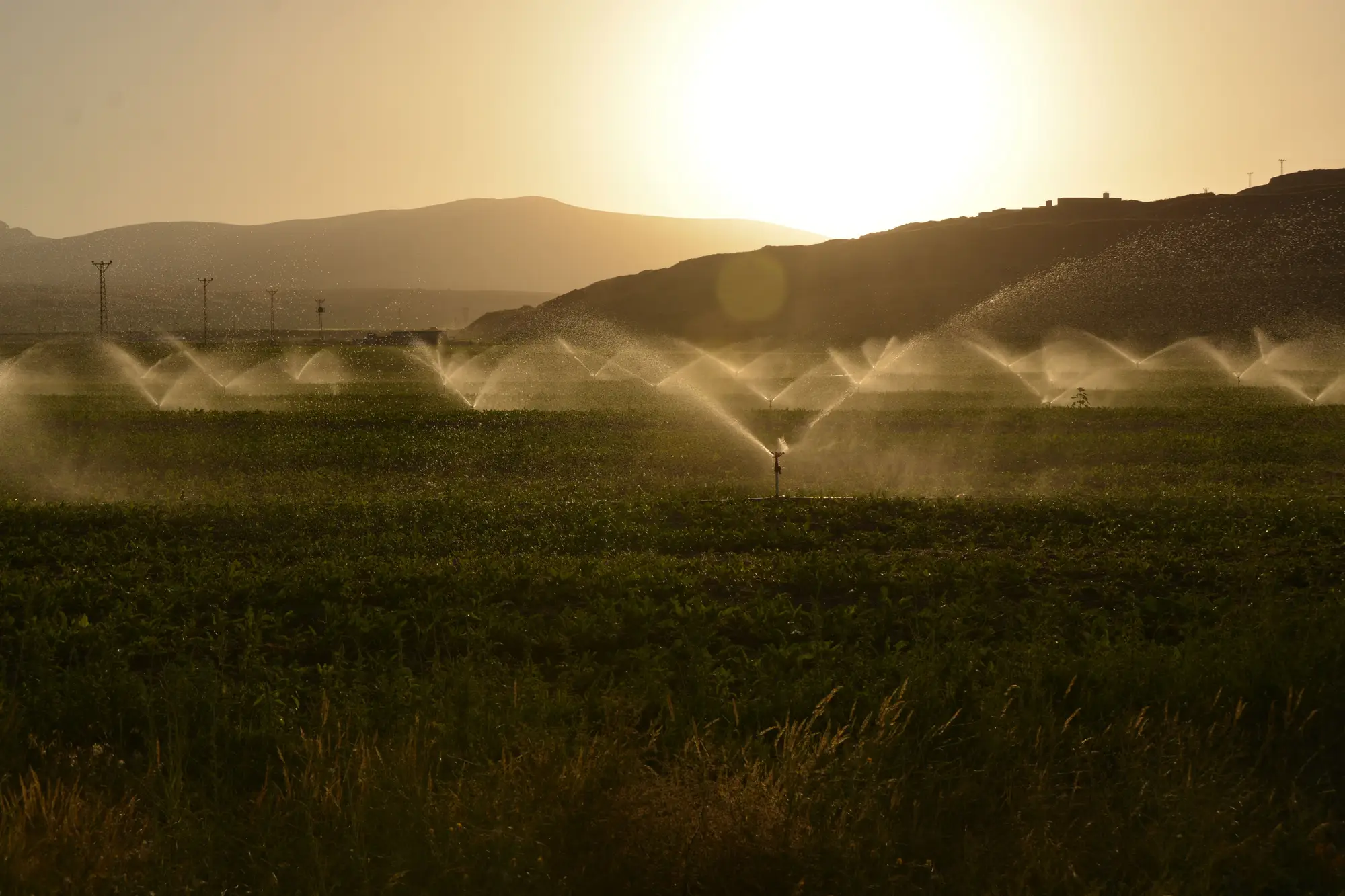 Sprinklers throwing water across a green field at dusk, with dry hills behind